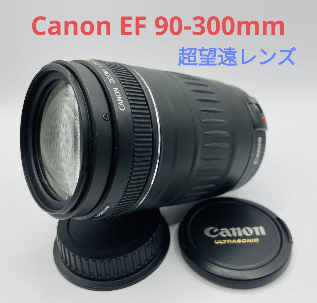 2月5日限定価格♪【超望遠レンズ】Canon EF 90-300mm