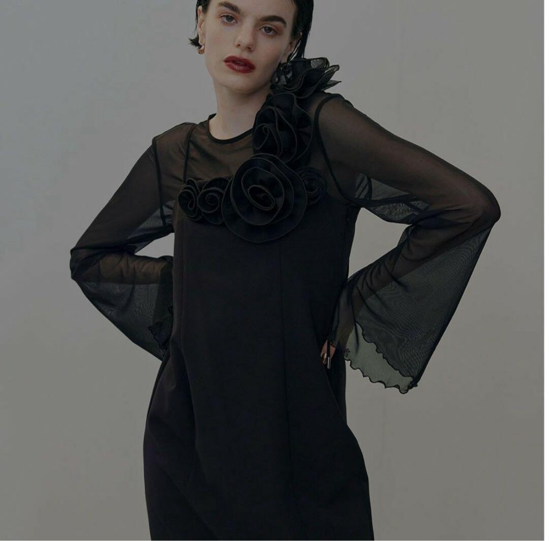 Ameri アメリヴィンテージ　CHERRY ROSE DRESS