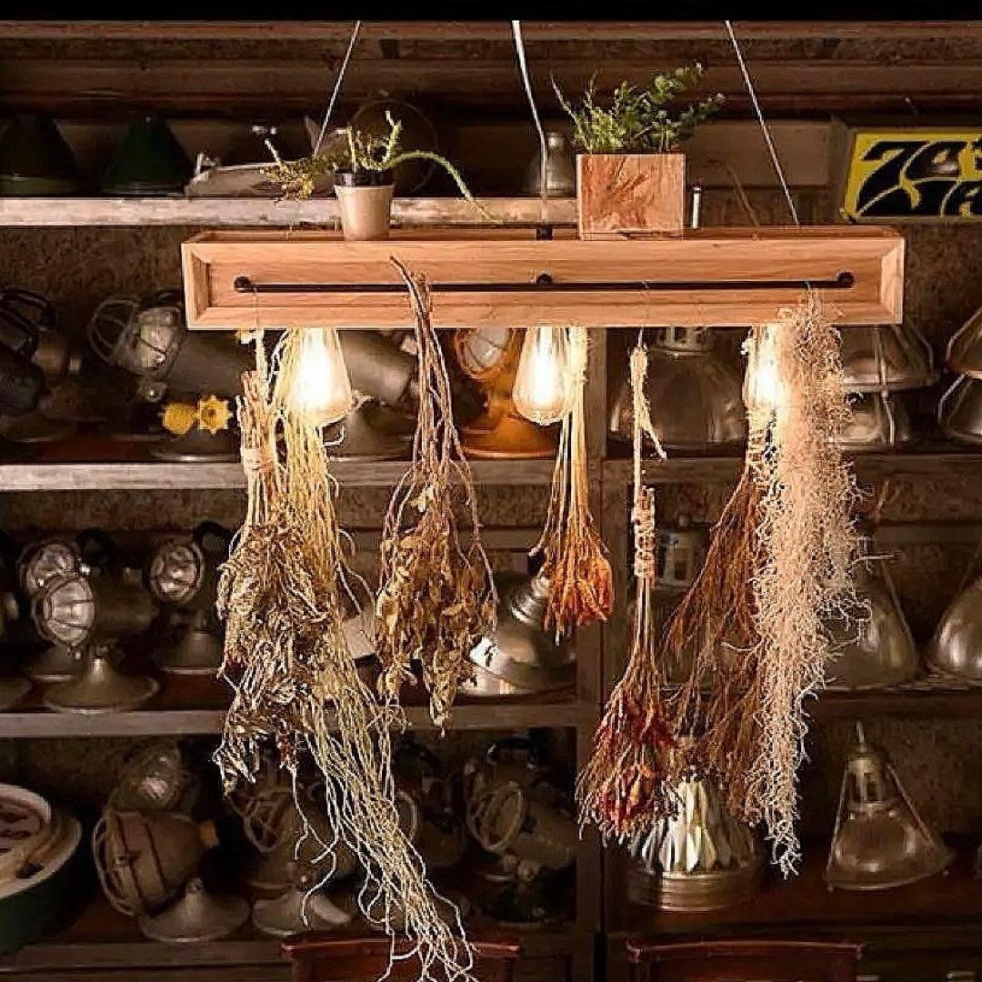 【定価30000】ペンダントライト APE-700NA スワン　BOTANIC