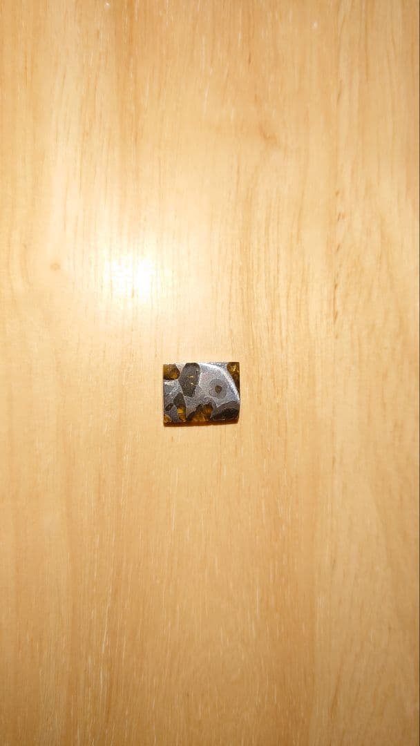 イミラック隕石　イミラック　隕石　パラサイト